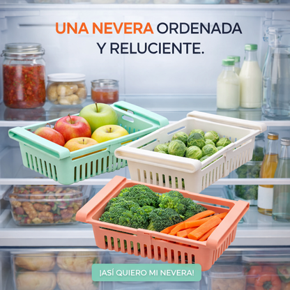 ORGANIZADORES PARA NEVERA X 3